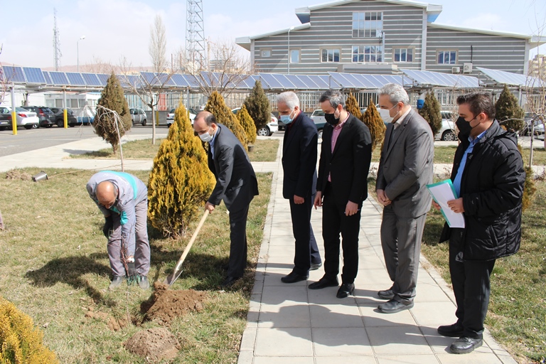 کاشت نهال توسط مدیرعامل شرکت برق منطقه ای آذربایجان به مناسبت "روز بزرگداشت شهداء"