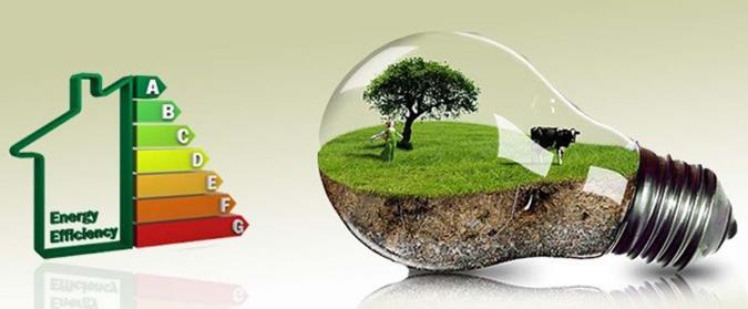 لزوم اصلاح الگوی مصرف