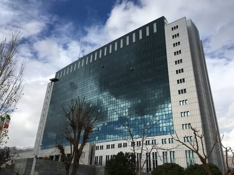 پاون گزارش می دهد