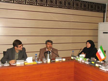 با حضور مسئولین و کارشناسان توانیر و شرکت های  برق منطقه ای غرب و زنجان برگزار شد .